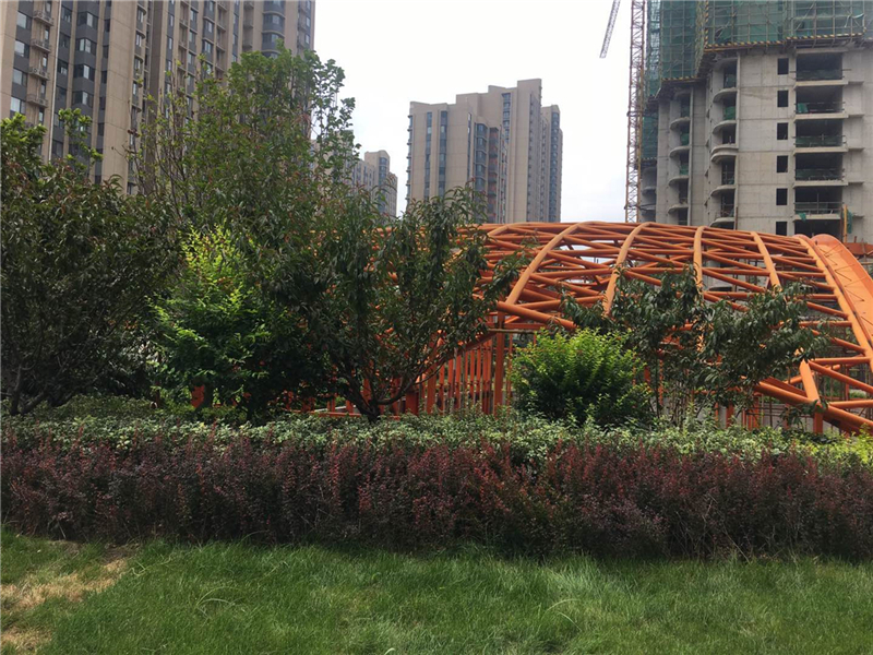 空间异型钢结构 (10)